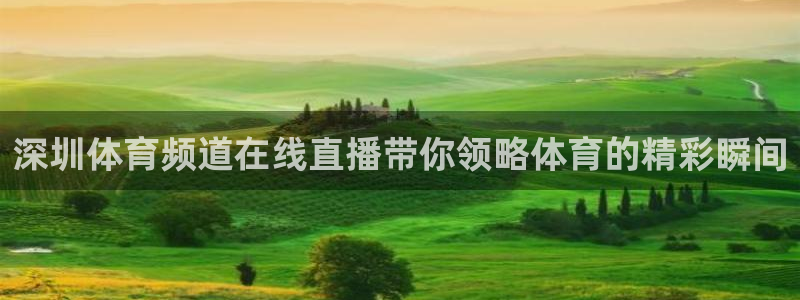 深圳体育频道在线直播带你领略体育的精彩瞬间